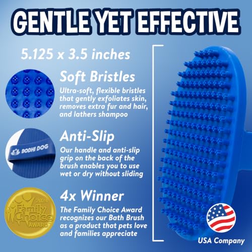 Shampoo Brush (2 Pack / Blue)