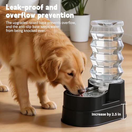 8L Elevated Dog Waterer (8L / Classic Black)