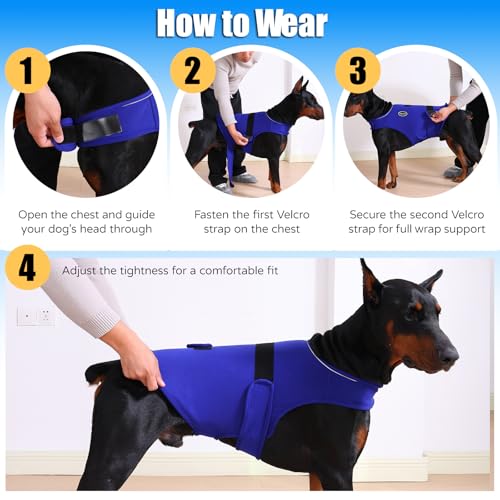 Dog Anxiety Vest (XS-Chest(8.6"-12") / Blue)
