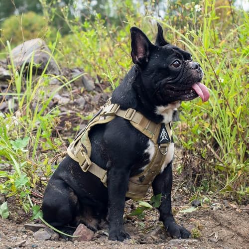 Tactical Dog Harness with Handle No (X-Small / Multi-colored)