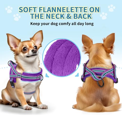 No Pull Small Dog Harness and Leash Set with Front Clip (Medium / Purple)