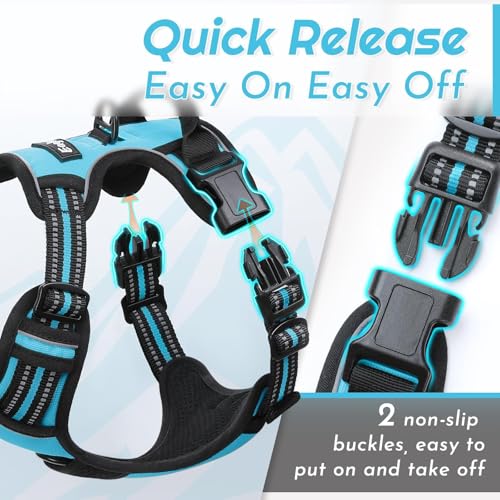 Dog Harness for Small Dogs (Small / Sky Blue)