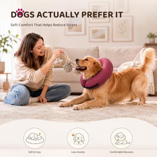 Inflatable Dog Cone (Rose / S(9"-10"))
