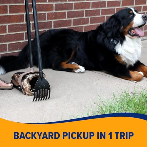 Swivel Bin & Rake Dog Pooper Scooper (One Size / Swivel and Rake Scooper)