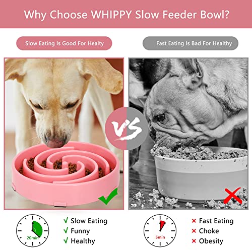 Slow Feeder Maze Puzzle Bowl (Large / C-pink)