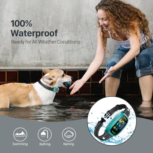 Dog Bark Collar (Clear)