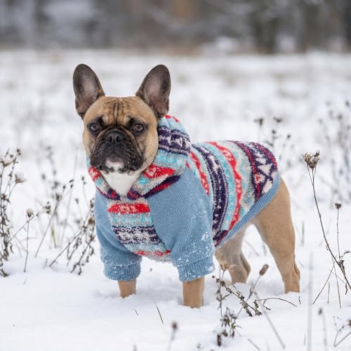 Classic Fleece Dog Hoodie (X-Small / Fair Isle)