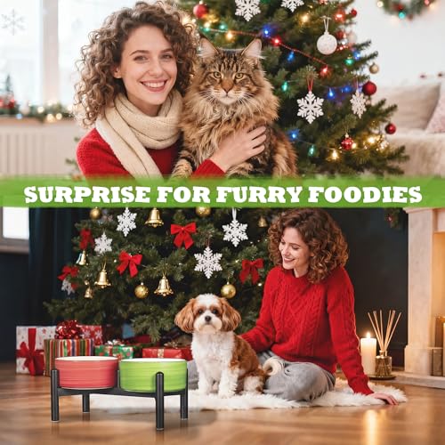 Ceramic Elevated Dog Bowl Set (Thread red+green / 3.5 Cups)