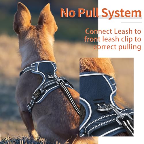 Dog Harness for Medium Dogs No Pull Dog Vest Harness with Soft Padded Handle Reflective for Outdoor Training (M / Royal Blue)
