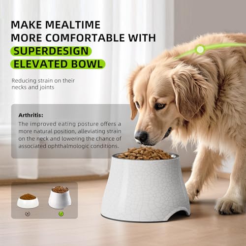 Elevated Dog Bowls with Stainless Steel Bowl (White-Crackle / L/3 Cups)