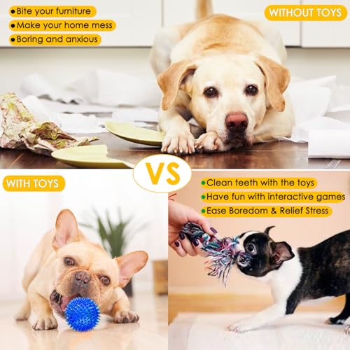 Dog Toys 25 Pack for Fun and Teeth Cleaning