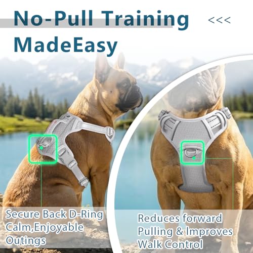 No Pull Dog Harness for Large Dogs (Large(Chest:24.5-32.5") / Grey)