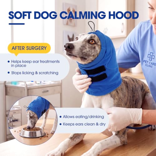 Dog Ear Muffs Noise Protection (Cobalt Blue / Large)