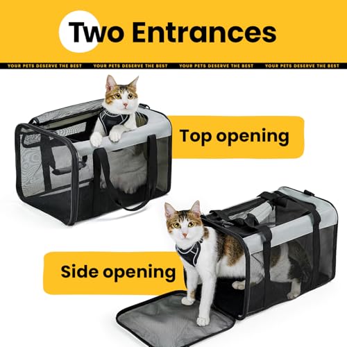 Soft Sided Cat Carrier for Small (17.0"L x 11.0"W x 11.0"H / Grey)