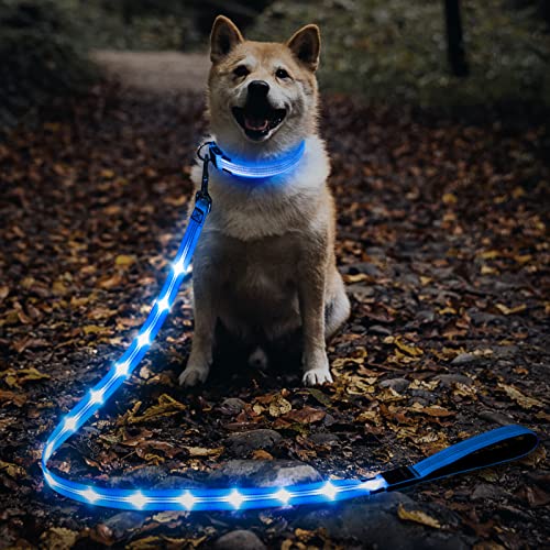 LED Dog Leash (BlueⅡ)