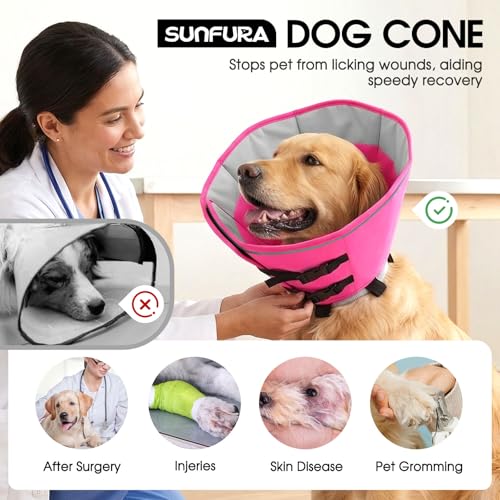Soft Dog Cone Collar (Pink / Small)