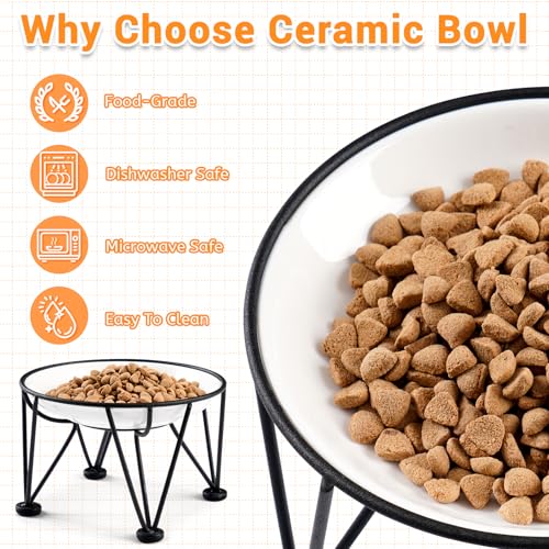 Elevated Ceramic Cat Bowls (anti-slip raised dish,2 pack / fishbone+cat paw)