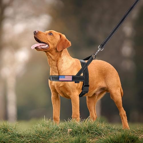 No Pull Dog Harness with Padded Handle+5 Ft Leash (XL / Black Set)