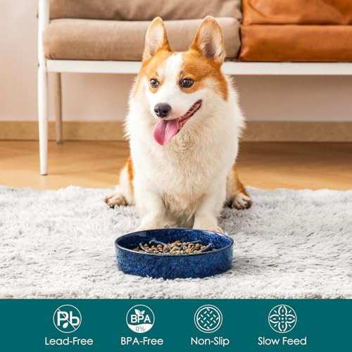 Ceramic Slow Feeder Dog Bowls (M-1.5 Cups / Blue)