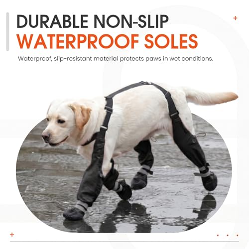 Waterproof Dog Suspender Boots Non (Black / S)