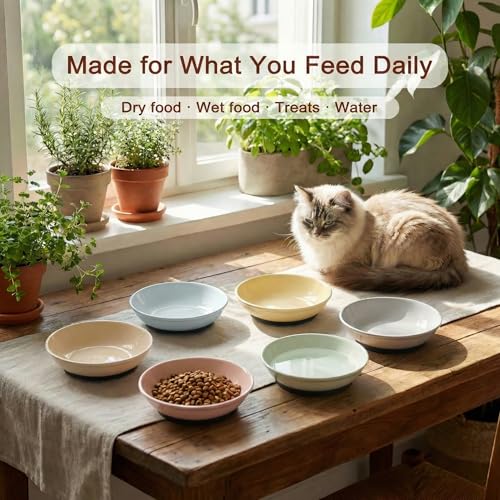 Ceramic Cat Food Bowls 6 Pack (Solid - Pads Attached)