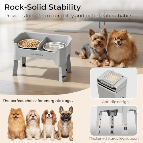 Mess Proof Elevated Dog Bowls for Small Dogs with Splash Guard (Light Grey / Small)