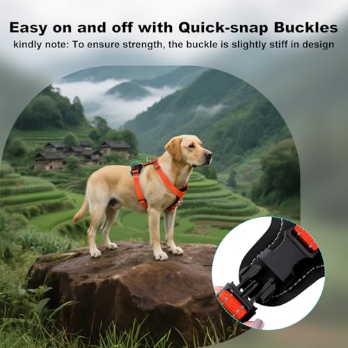 No Pull Dog Harness with Leather Accents (S / Orange)