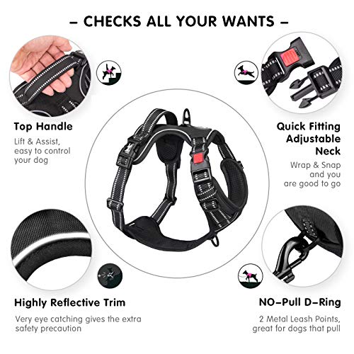 Dog Harness Large (L / Black)