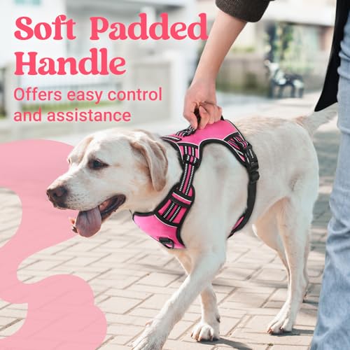 Large Dog Harness (Small / Pink)