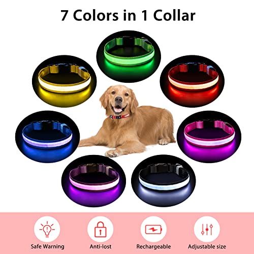Light up Dog Collar (Red / M(15 inch-19.7 inch))
