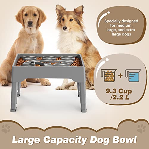 9 Cups Elevated Slow Feeder Dog Bowls 4 Adjustable Heights (Gray)