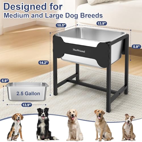 2.5 Gallon Elevated Dog Water Bowl for Large Breeds (14.2in Height)