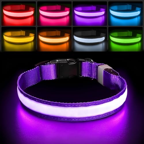 Light up Dog Collar (Purple / M(15 inch-19.7 inch))
