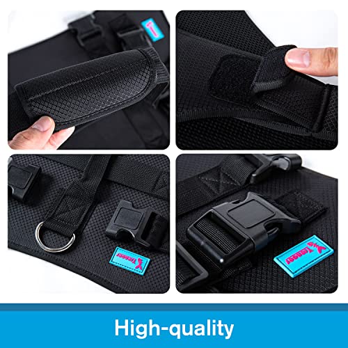 Dog Lift Harness (S / Black)