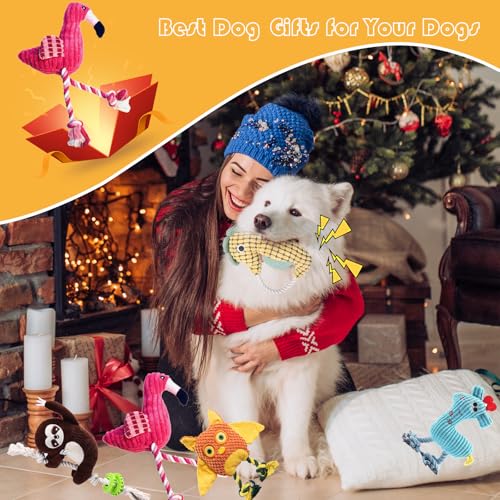 5 Pack Plush Dog Toys with Rope