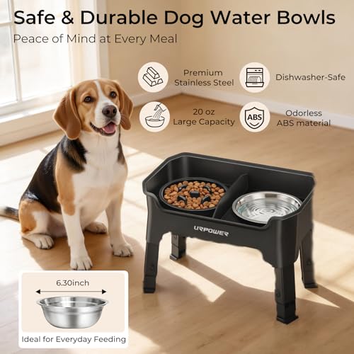 Mess Proof Elevated Dog Bowls for Small Dogs with Slow Feeder (Matte Black / Small)