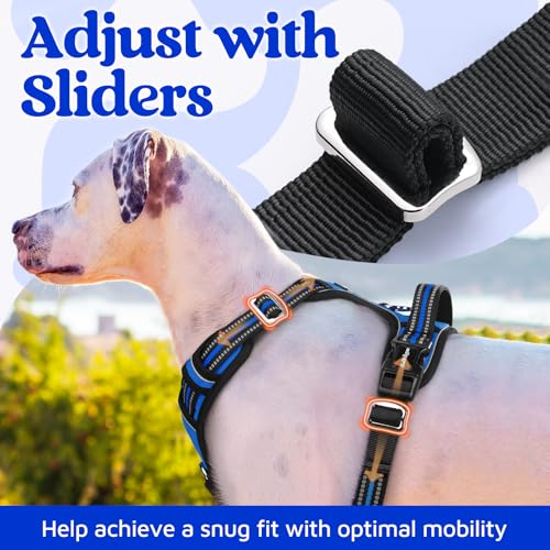 Dog Harness for Large (Royal Blue / Large)