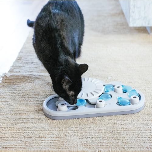 Nina Ottosson Rainy Day Puzzle & Play Cat Toy Treat Puzzle (Rainy Day / Treat Puzzle)