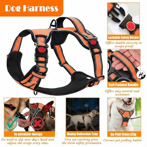 No Pull Dog Harness (Large / Orange)