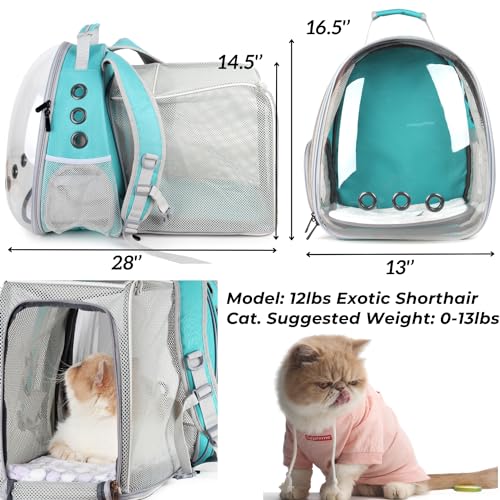 Cat Carrier Backpack (Square Back Expandable-Green)