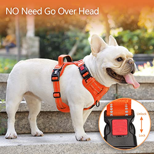 No Pull Dog Harness (XL / Orange(Matching Trim))