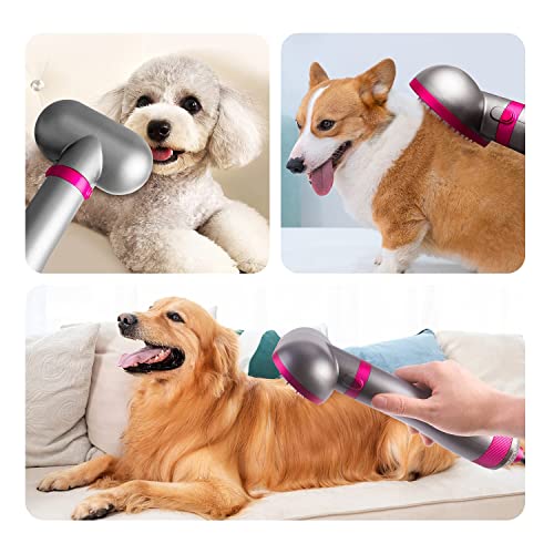 Dog Hair Dryer (Rose)