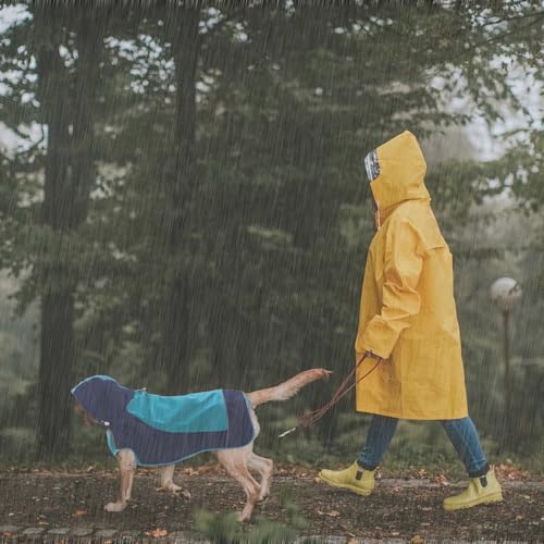 Hooded Dog Raincoat (2X-Large / Blue)