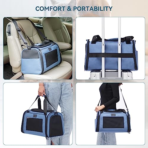 Pet Carrier Blue (Medium / Blue)
