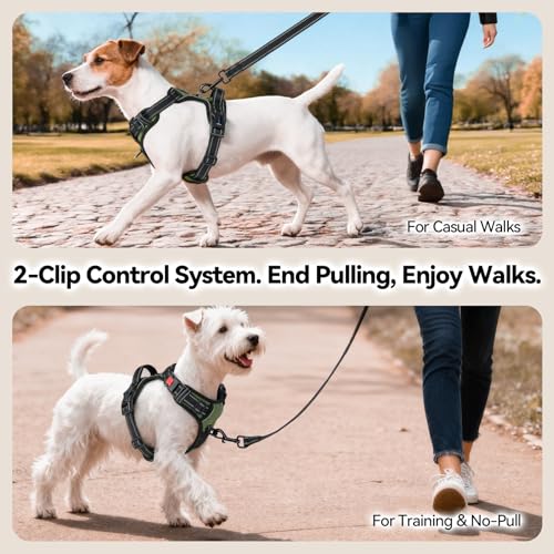 No Pull Dog Harness with Handle Front & Back Clip (Extra Large / Misty Green)
