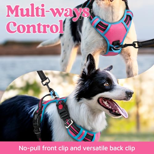 Dog Harness for Large (Pink & Blue / Large)