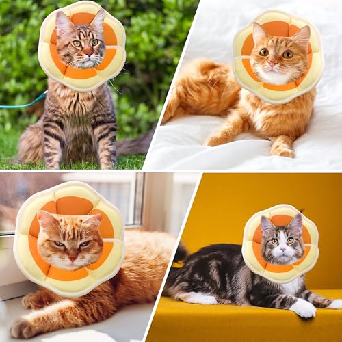Soft Adjustable Cat Cone Collar (Orange / Small)