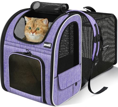 Cat Backpack Expandable (Purple / 12.6"L x 10.2"W x 16.5"H)