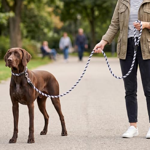 Rainbow Dog Leash Braided Cotton Rope w Leather (Black/Gray / 60 Inch-1/2")