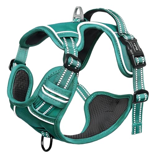 Dog Harness for Small Dogs No Pull Dog Vest Harness for Small Dog with Soft Padded Handle Reflective for Outdoor Training (S / Grass Green)